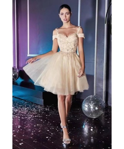 Short Homecoming Dresses for Teens Lace Appliques Tulle Prom Dress for Women Mini Cocktail Dress Mint $25.01 Dresses