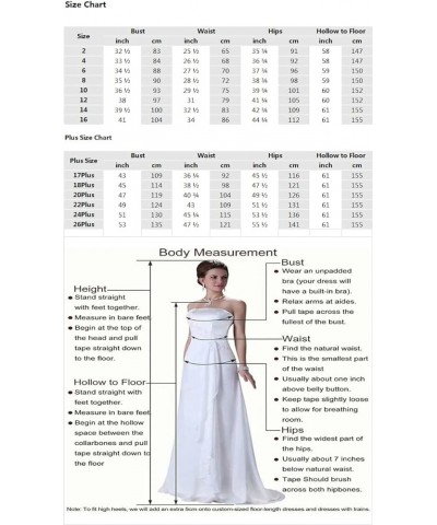 V Neck Lace Applique Long Mother of The Bride Wedding Dresses Women's Cap Sleeve Chiffon Formal Party Dress Dusty Blue $34.65...