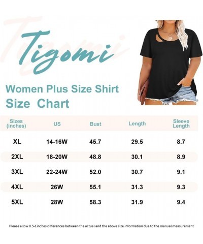 Plus Size T Shirt for Women Short Sleeve Shirts Tops Print Graphic Pattern Tunic Summer Blouse XL-5XL 14-28 9_ F0154_ C Hole ...